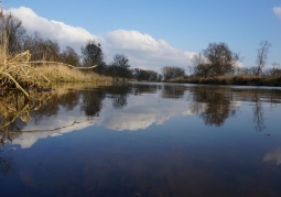 The Warta River, view from Borek Lądkowski