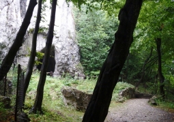 entrance to the Cave