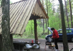 Picnic in the forest