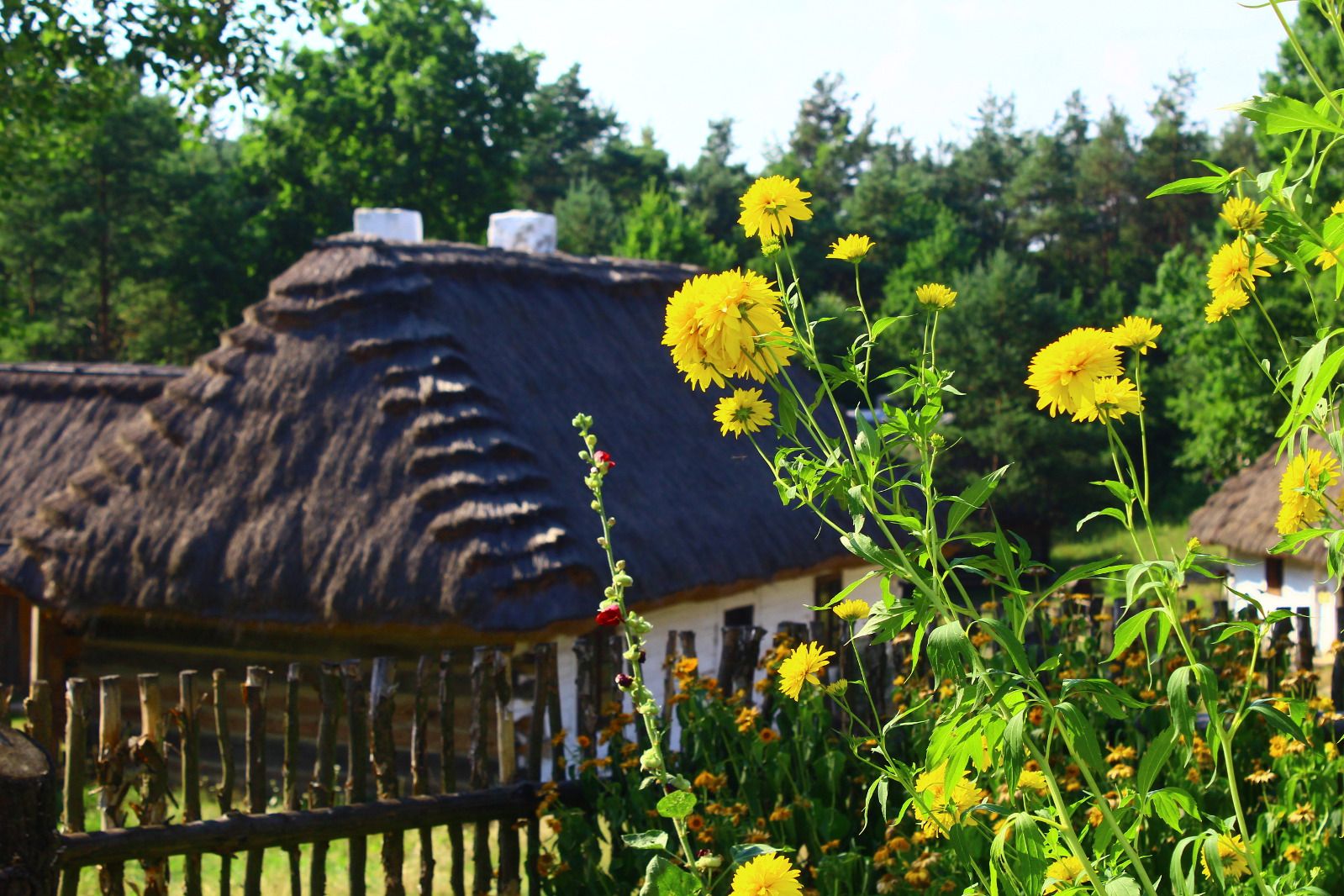 Muzeum Wsi Kieleckiej - Park Etnograficzny