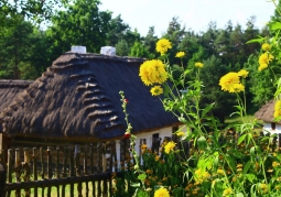 Old huts