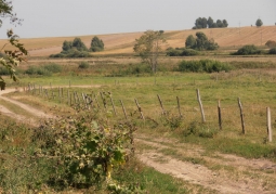 Landscape of the Podlasie village