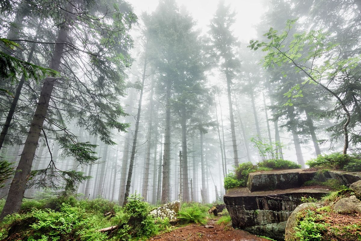 Karkonosze National Park