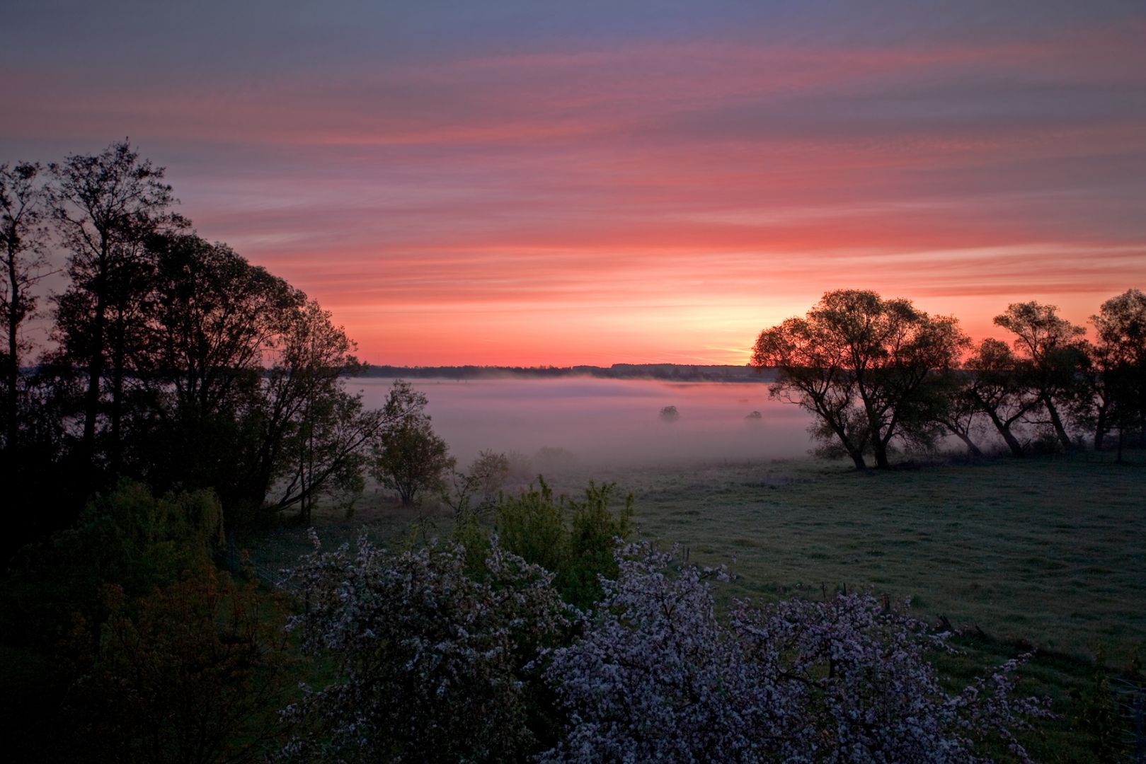 Narwiański Park Narodowy