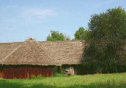 Fragment of the open-air museum
