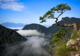 Pieniny National Park