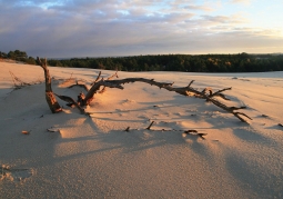 Słowiński National Park