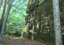 Photo: The bunker in the Wolf's Lair