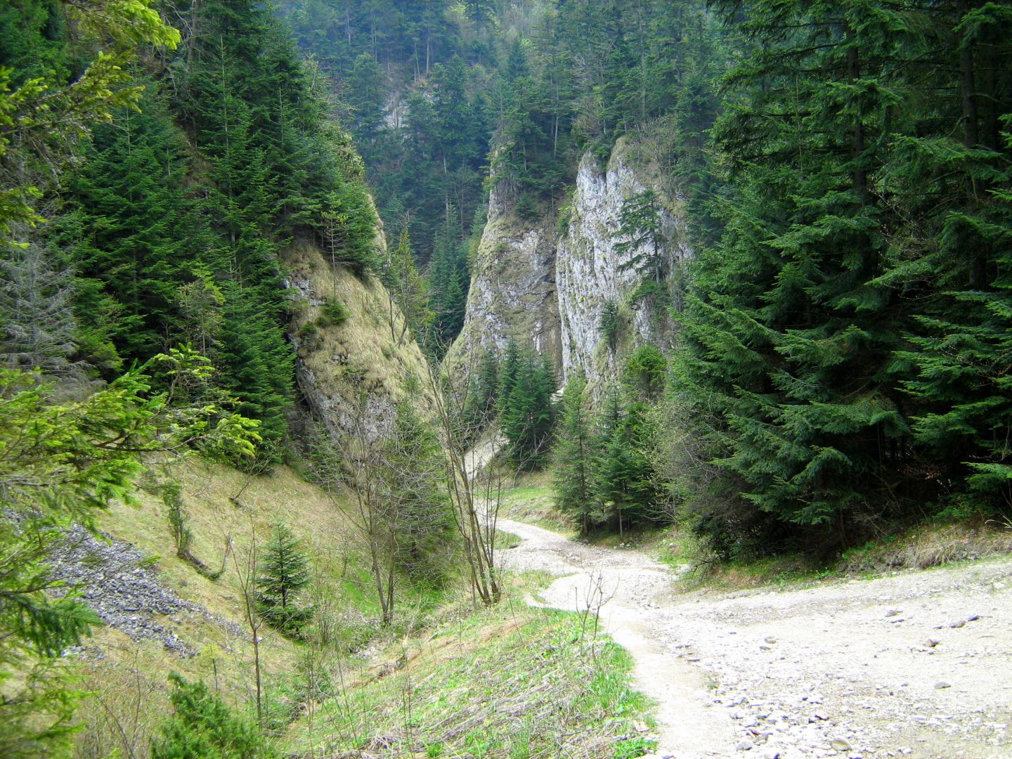 Fragment of the gorge