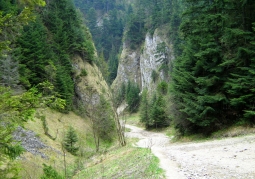 Fragment of the gorge