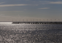 Pier from afar