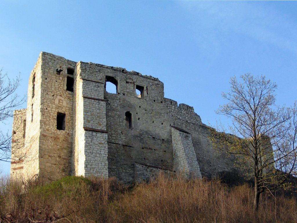 Castle Ruins