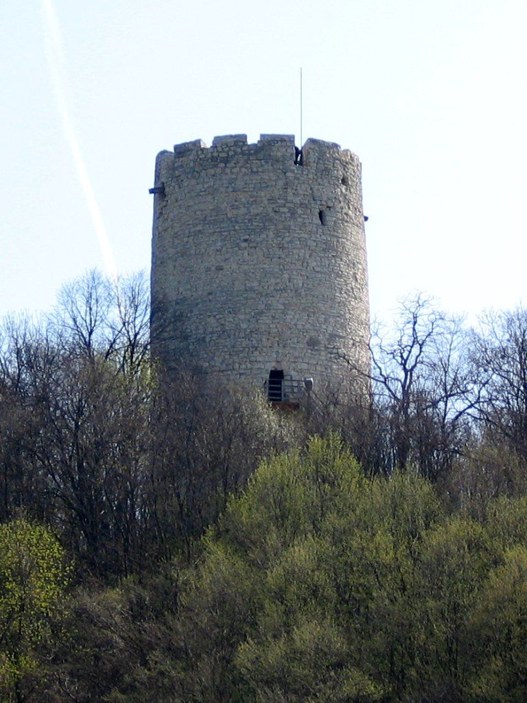 Wieża Łokietka