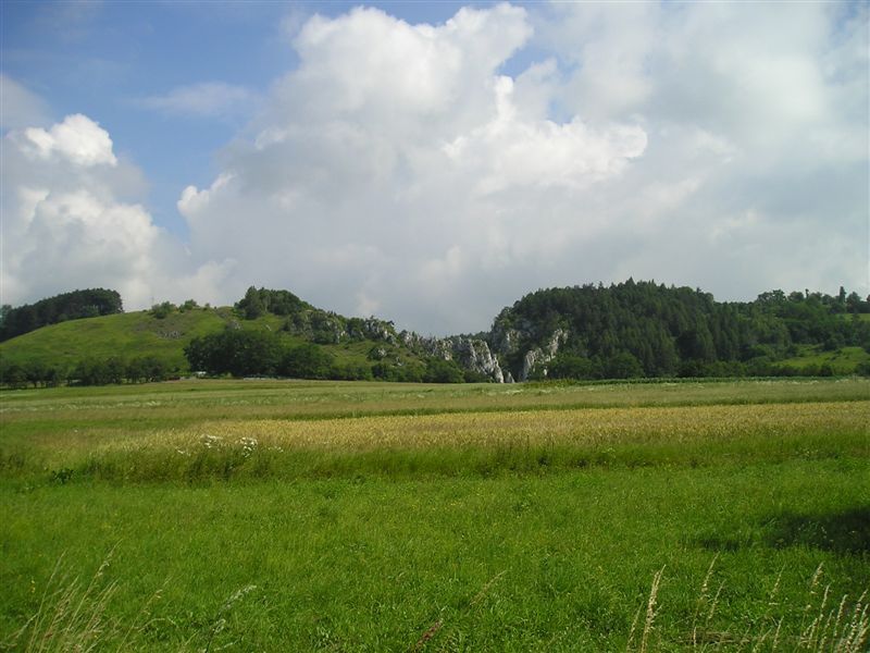 Park Krajobrazowy Dolinki Krakowskie