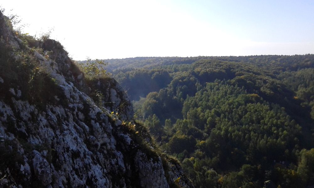 Dolinki Krakowskie Landscape Park