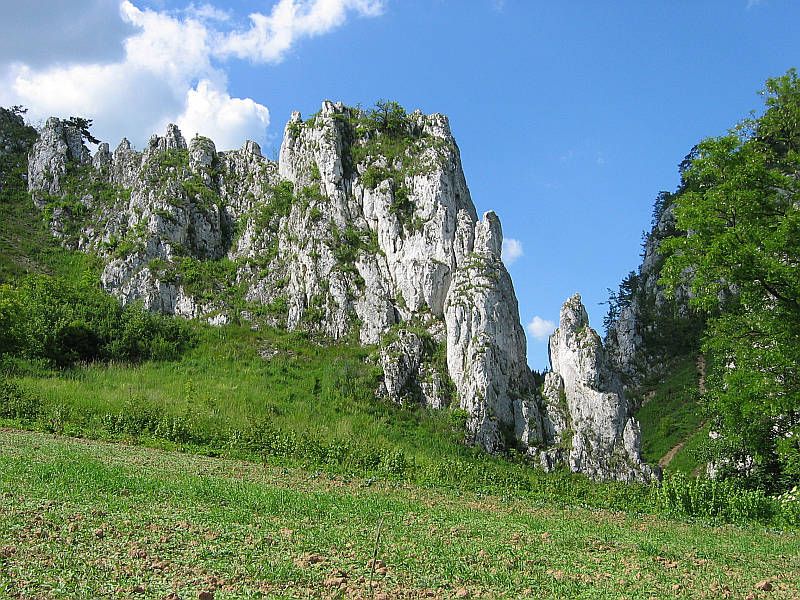 Dolina Bolechowicka, ściana zachodnia
