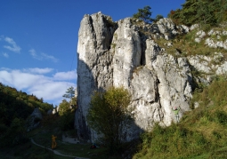 Limestone pillar