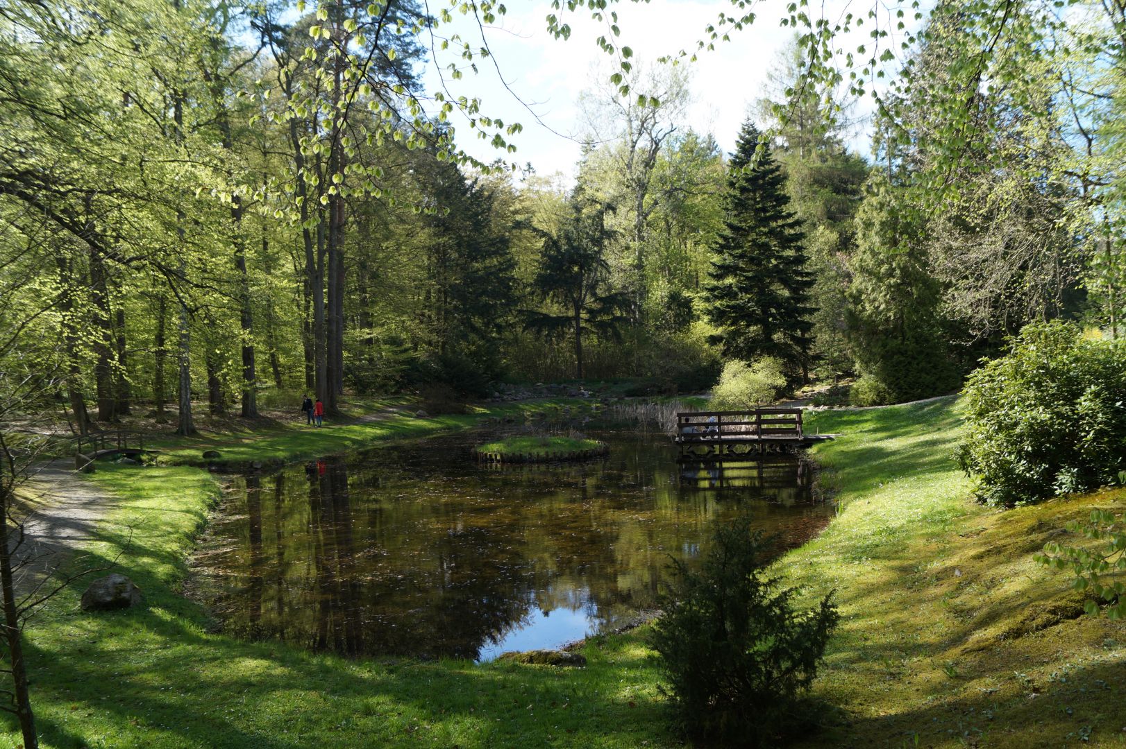 Lush greenery in the Wirtach Arboretum