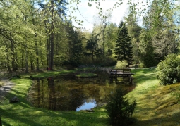 Lush greenery in the Wirtach Arboretum