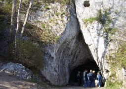 Jaskinia Nietoperzowa - Park Krajobrazowy Dolinki Krakowskie