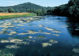 Bóbr Valley Landscape Park