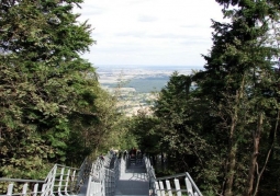 Viewing platform - Łysa Góra