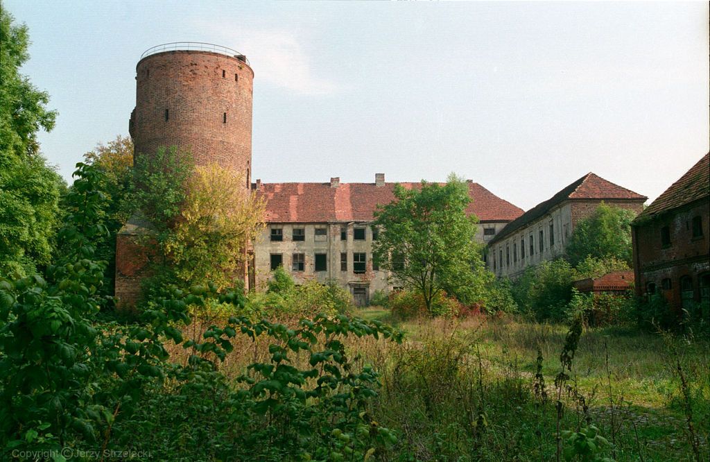 Ruins of the castle in Swobnica