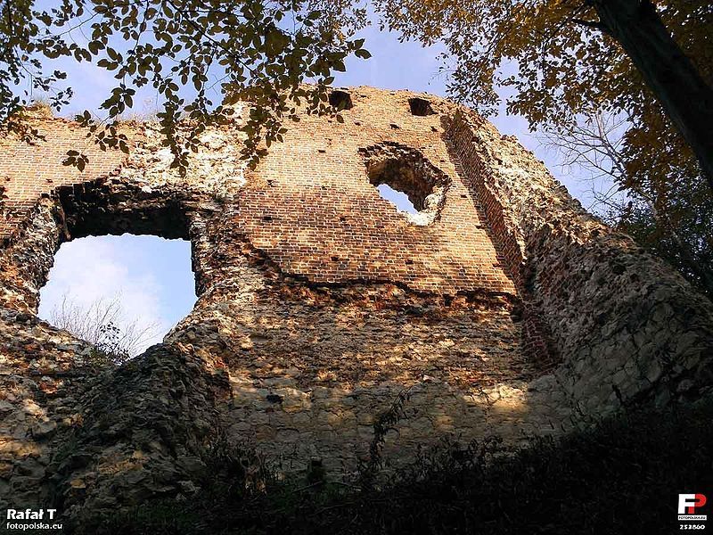 Ruins of the Firlejów castle