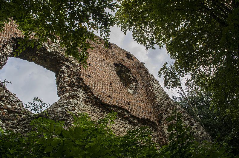 Ruins of the Firlejów castle