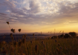 Wieliczka Foothills