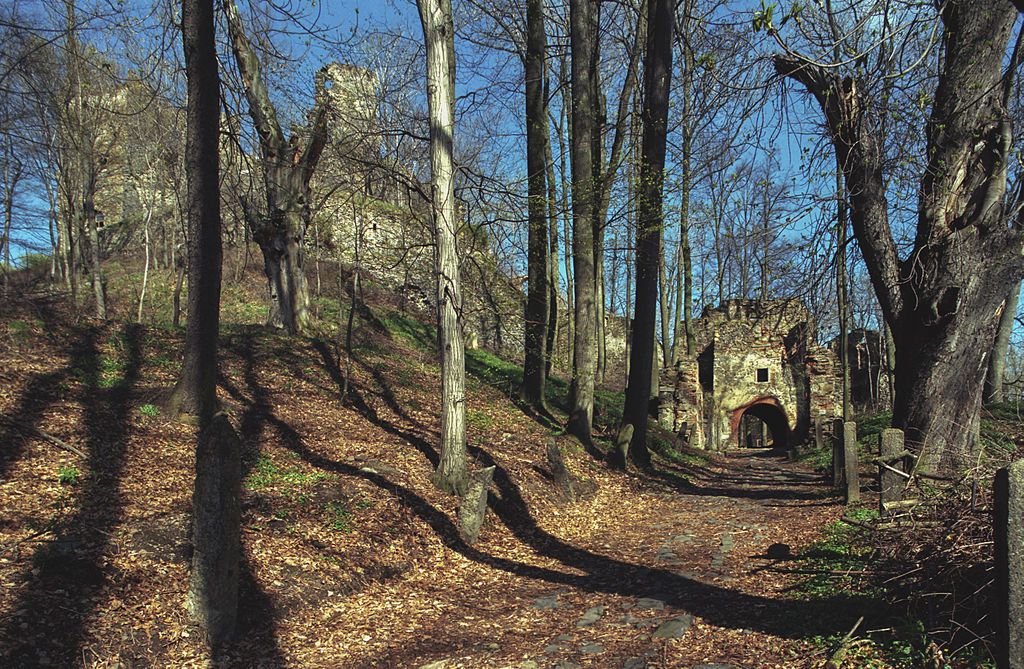 Ruiny zamku Gryf