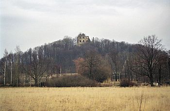 Ruins of Gryf castle