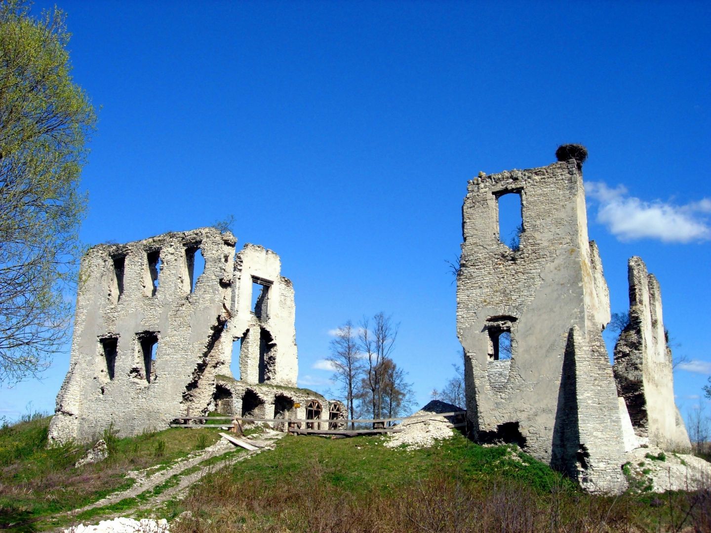 Noble castle ruins