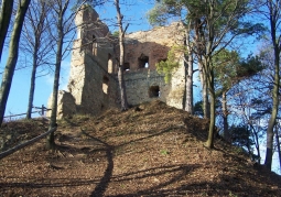 Ruins of the castle tower from the end of the 14th century