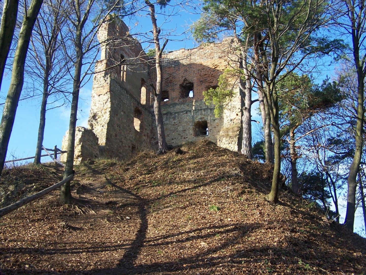 Ruins of the castle tower from the end of the 14th century