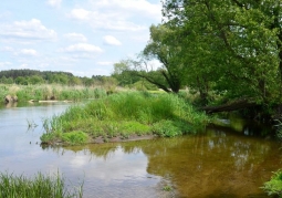 Fragment of the Drwęca Valley