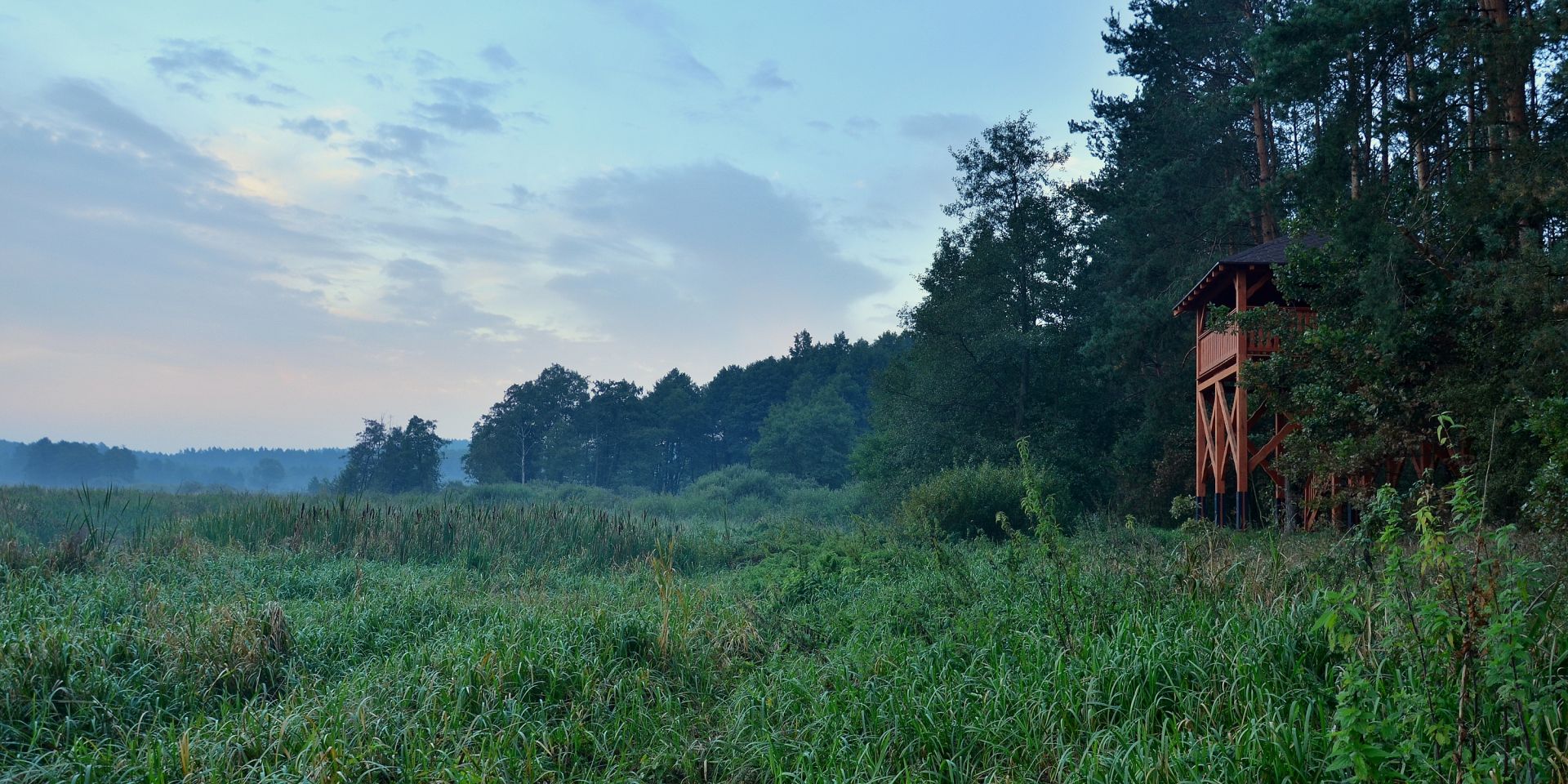 Swamp Valley Drwęca