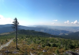 Panorama z Czarnej Góry