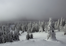 Śnieżnik Kłodzki Nature Reserve - Śnieżnicki Landscape Park