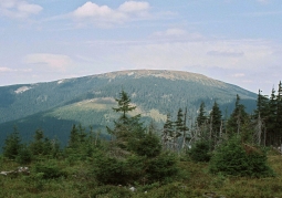 Śnieżnik - Śnieżnik Kłodzki Nature Reserve