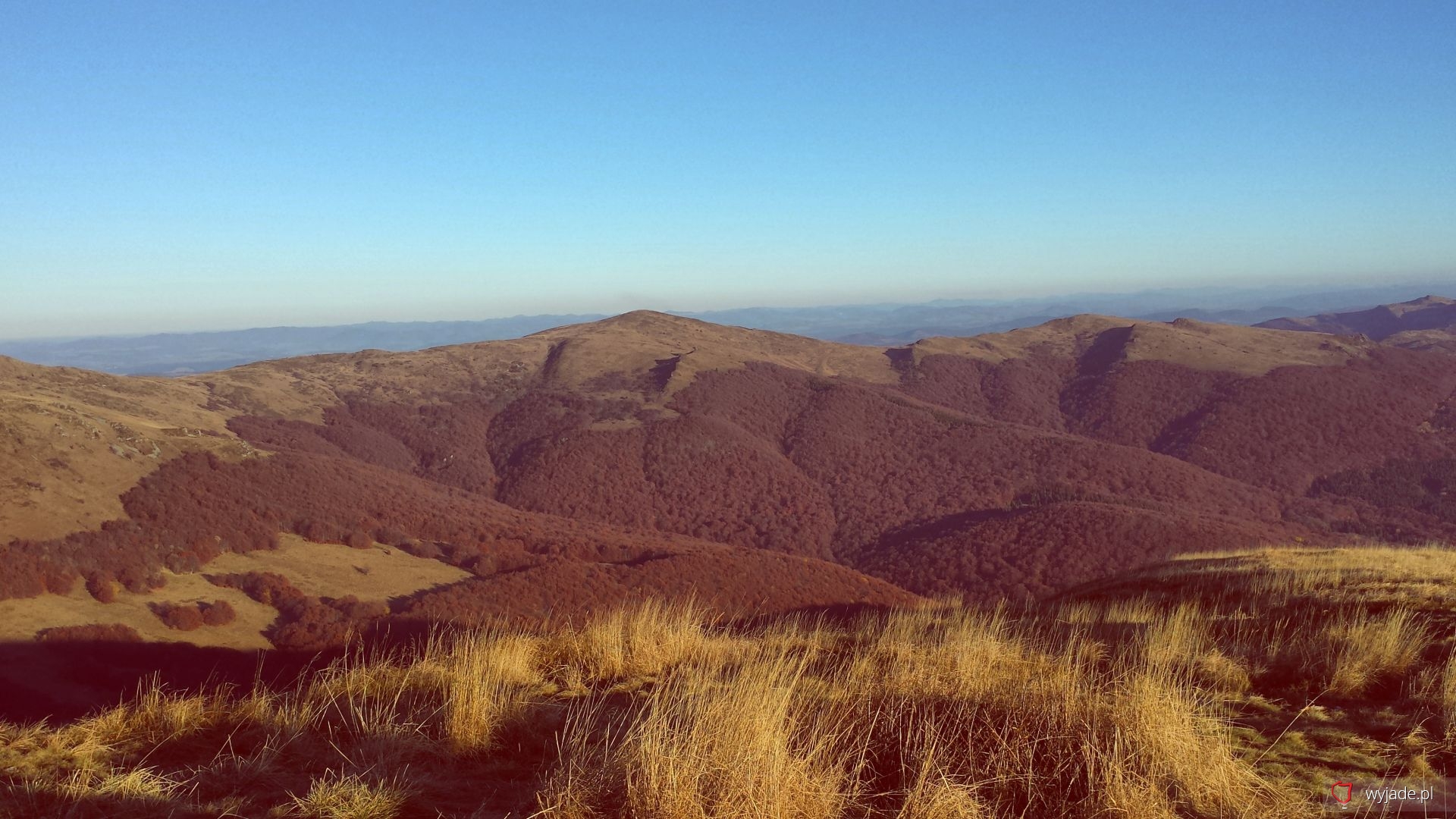 Halicz in autumn seen from Tarnica