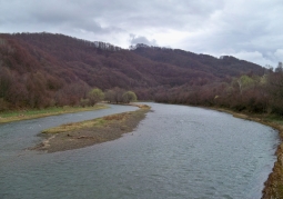 North-west edge of the reserve