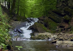 Szepit Waterfall - Zatwarnica