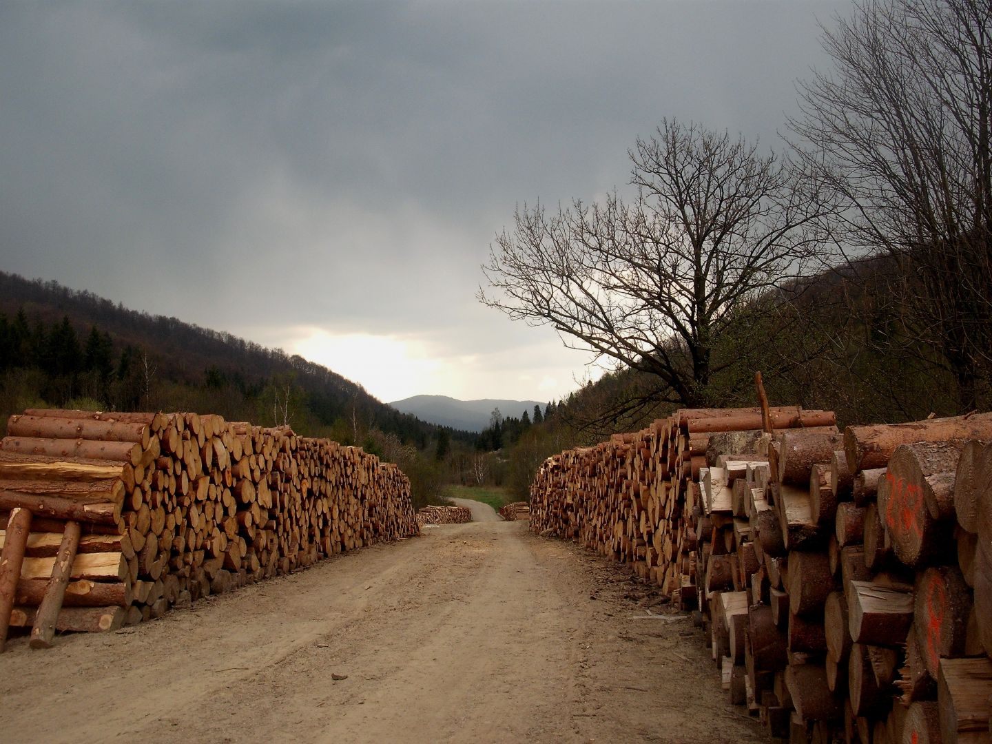 Ciśniańsko-Wetliński Landscape Park