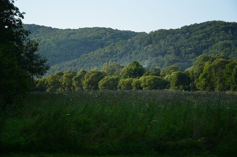 Virgin areas of the San Valley