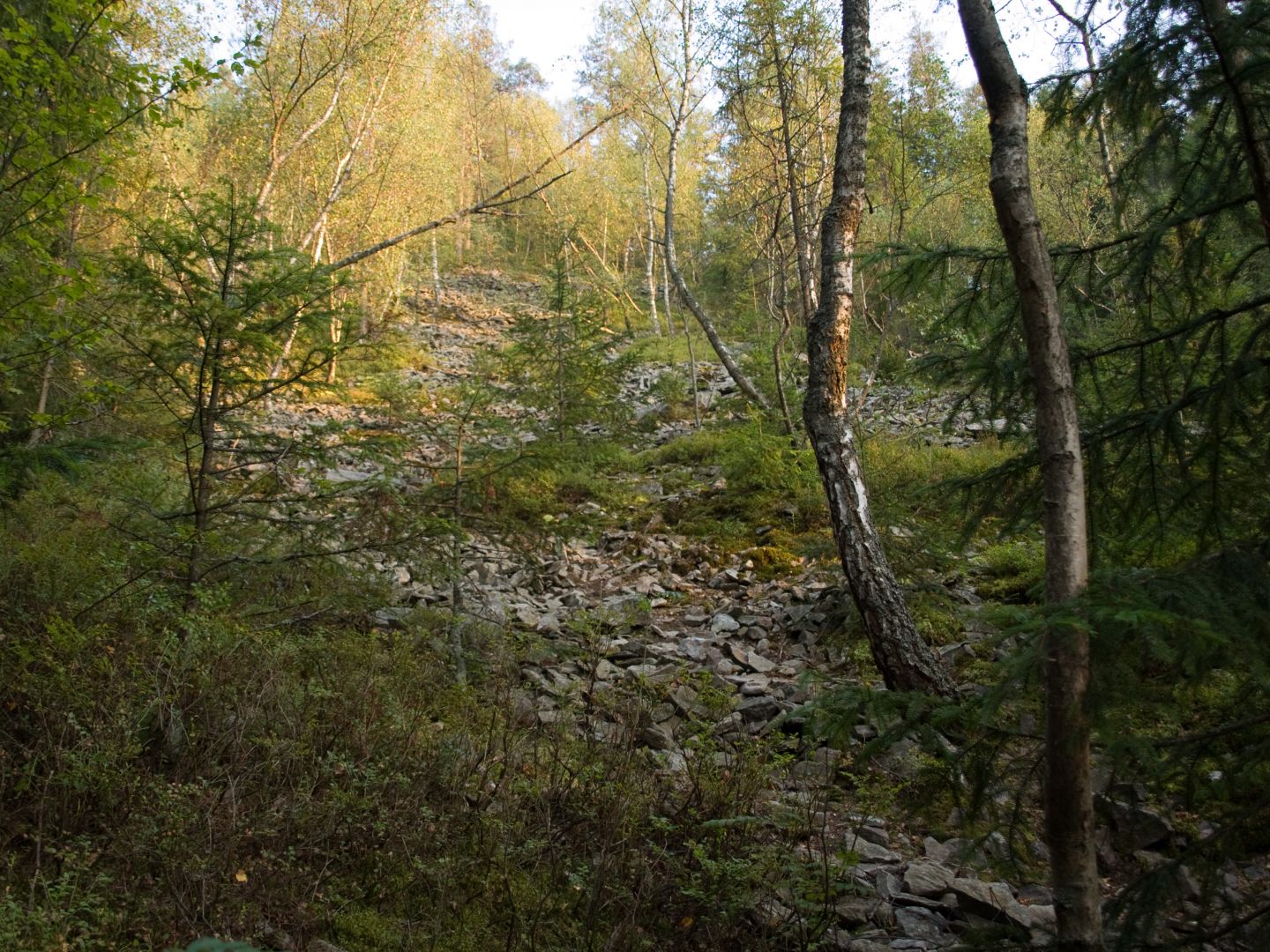 Gołoborze included in the reserve