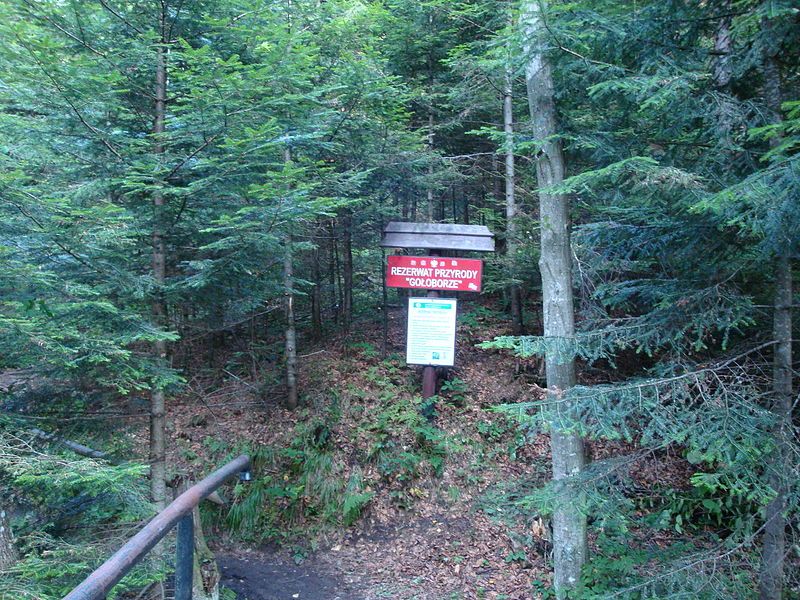 Gołoborze Nature Reserve