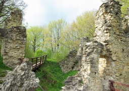 Ruiny zamku Sobień - Manasterzec