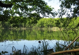 Wielkopolski Park Narodowy