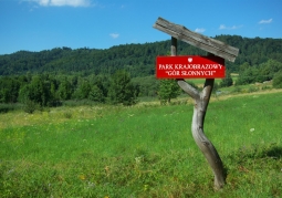 Information board near Załuż
